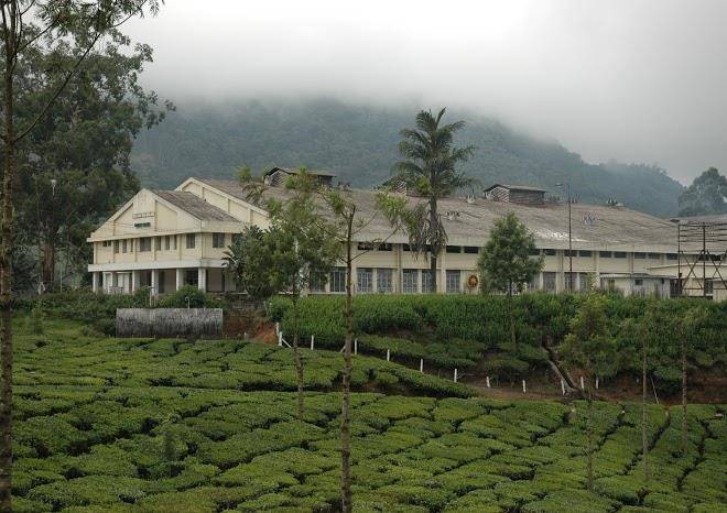 Mount crest bungalow