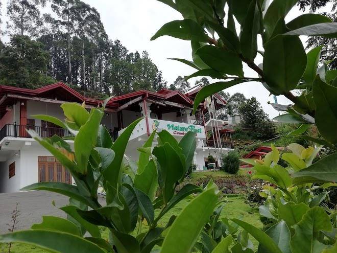 Nature First Hotel Image