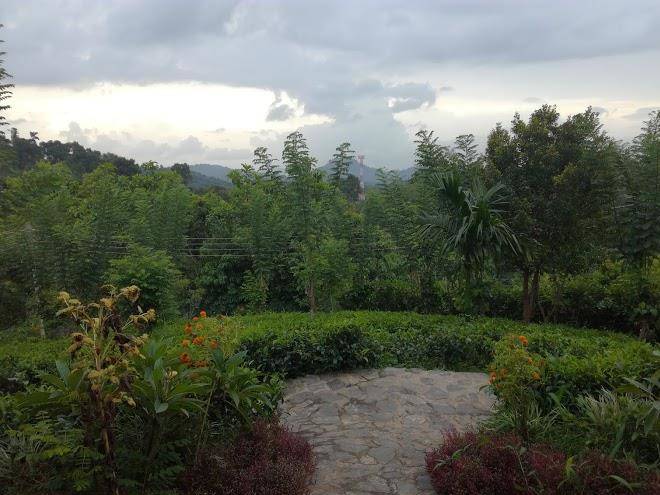 Paddy field hideaway wegiriya sri lanka