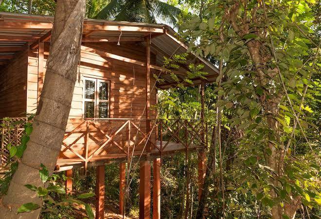 Polwaththa eco lodges kandy sri lanka