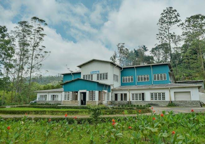 Rozella tea factory