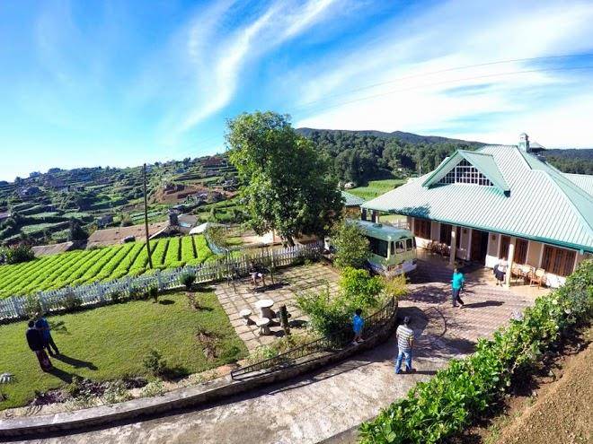 Samovin Gardens Image