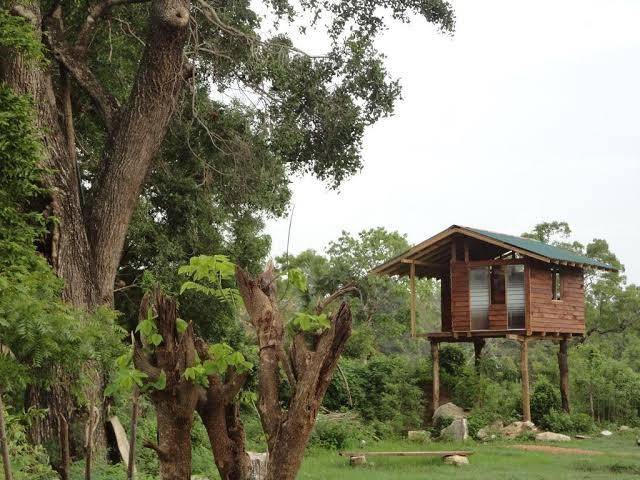 Sigiri forest view