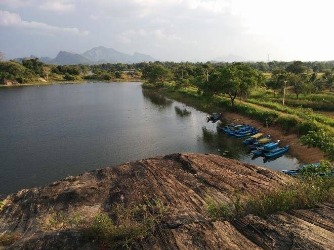 Sigiri jungle resort