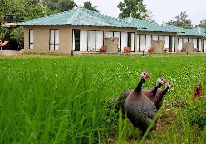 Sigiriya kings resort
