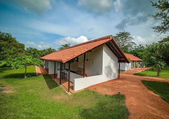 Sigiriyajungles