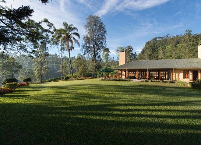 Tea trails