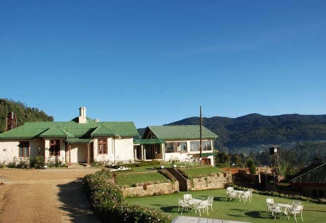 Tea bush hotel nuwara eliya