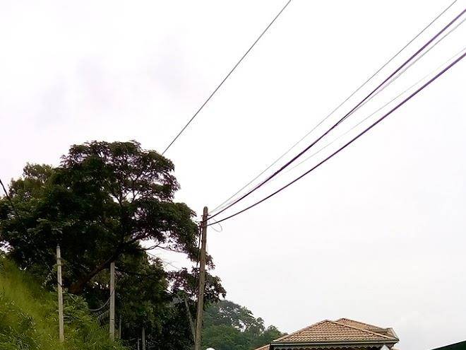 The breeze kandy