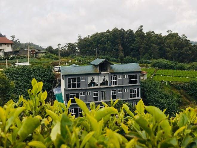 The mount camellia