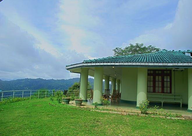 The tea estate