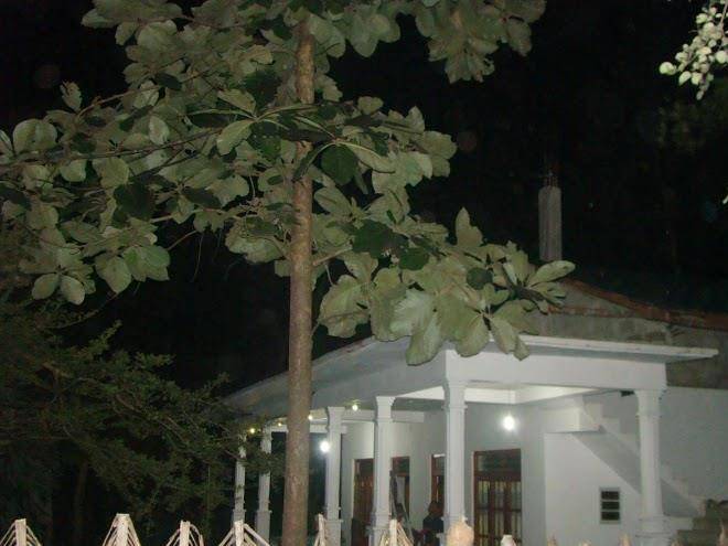 Thuruliya residence