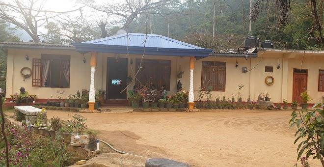 Vegetable garden