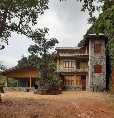 Whispering Woods Image