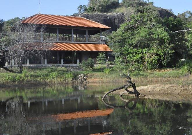 Wild grass nature resort