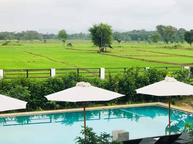 Zigzag sigiriya