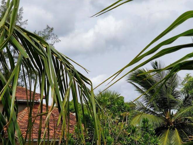 Cresent Bay Beach Hotel Image