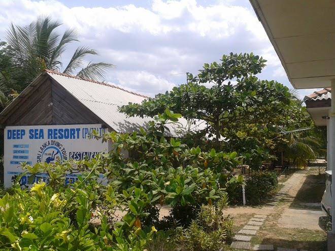 Deep sea resort nawalady