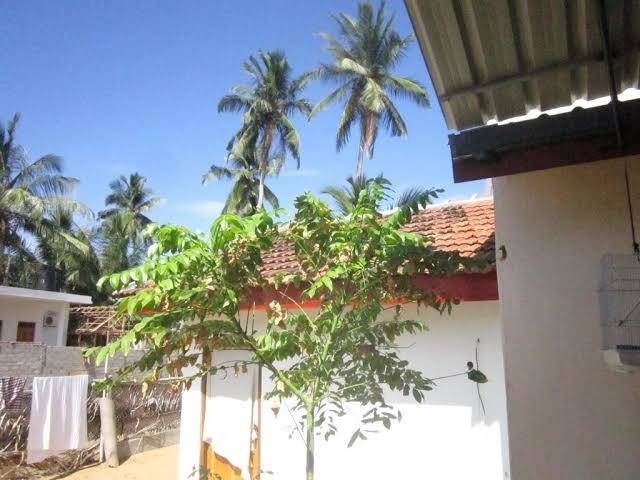 Millennium Rest Image