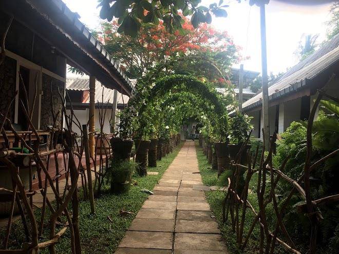 The hotel paradise