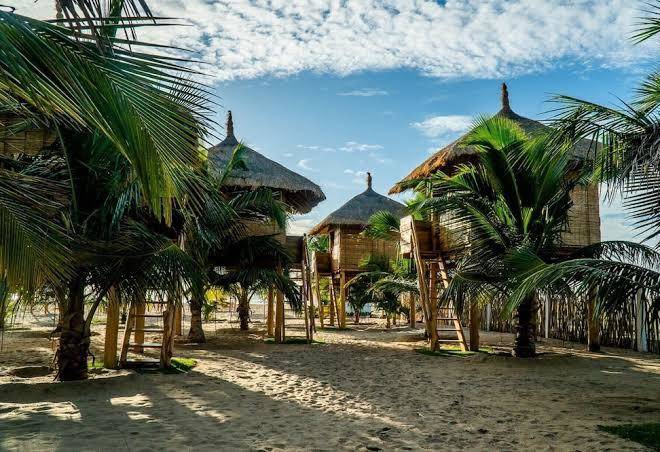 Whisky point resort