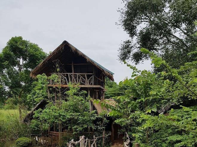 Elephant Watch Hut Image