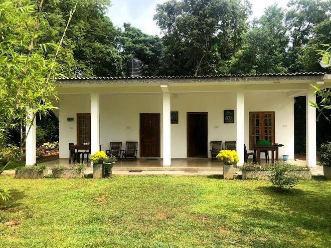 Freedom Loving Image