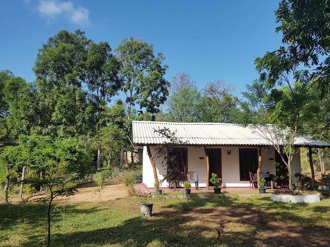 Habarana wild resort
