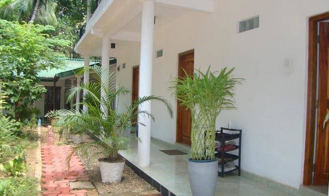 Hotel blue lotus