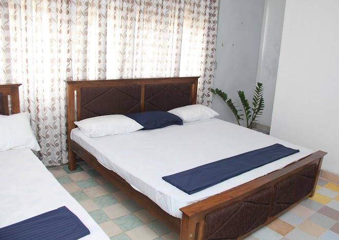 Kingfisher Family Guest Image