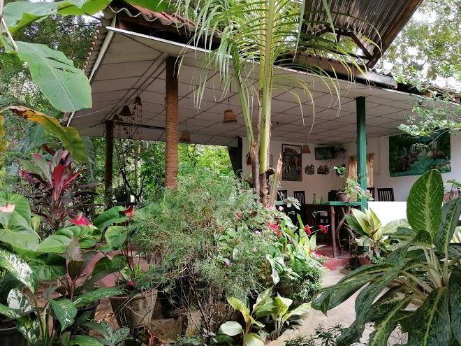 Levona garden resort
