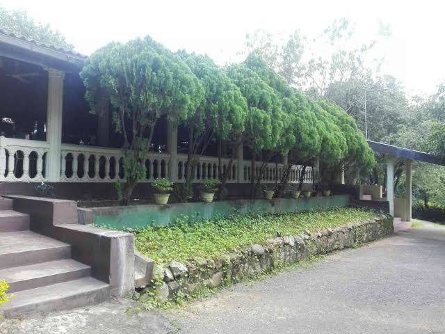 Peacock solitude hotel