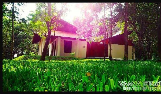 Vaana resort
