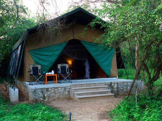 Wilpattu Safari Holidays Image