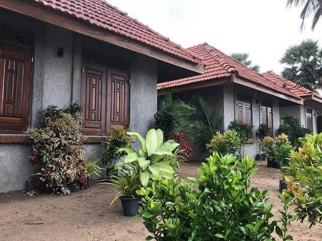 Arasi resort kalpitiya