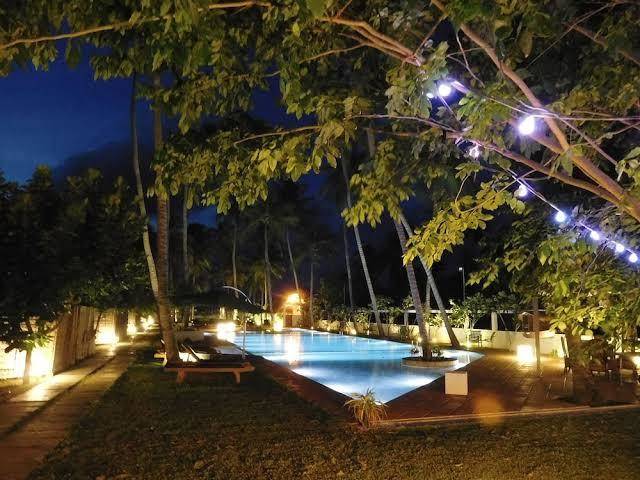 Blue whale resort kalpitiya