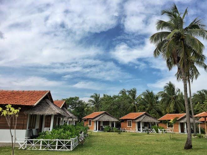 Ceylon kite ranch