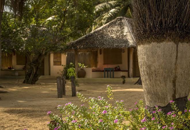 Cocodance kitesurfing resort