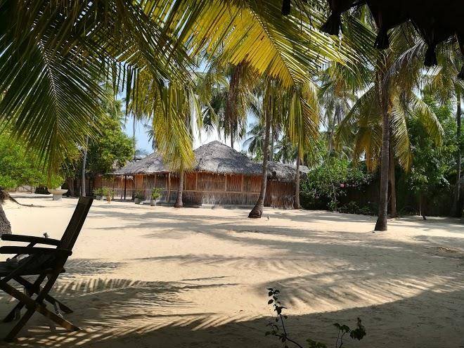 Funky Far Nest Image