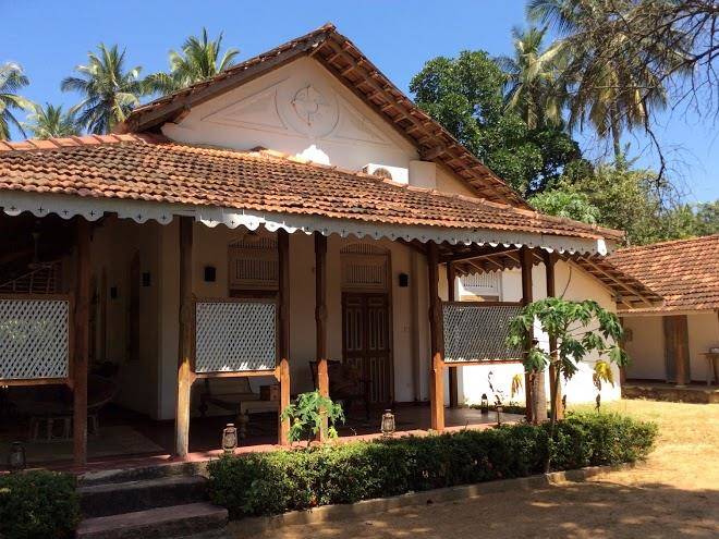 Grove Sri Lanka Image