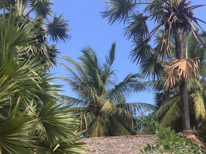Sun wind beach kite resort and kite school kalpitiya