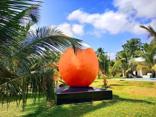Thambili resort