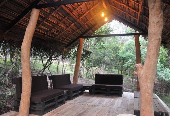The backwaters lodge wilpattu