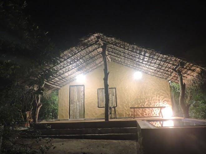 Wild Wadi Wilpattu Image