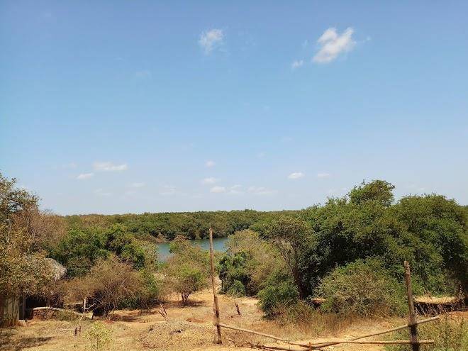 Wilpattu nature resort