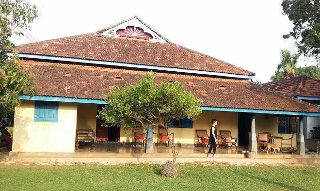 Catumaran Jaffna Image