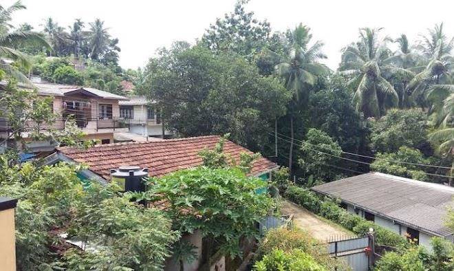 Basilico homestay