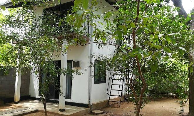 Elephant lane holiday resort