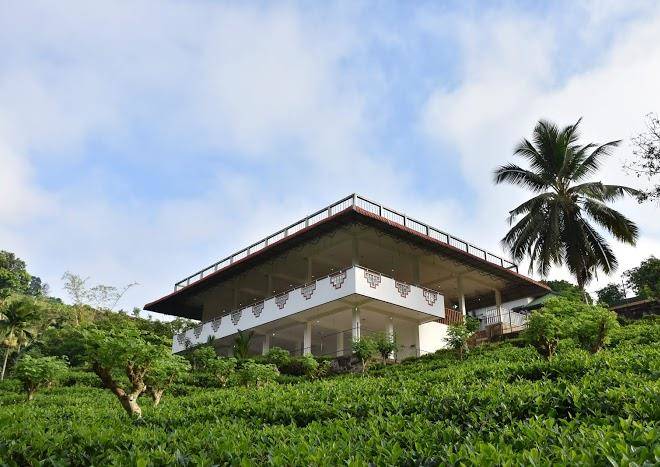 Lotus resort