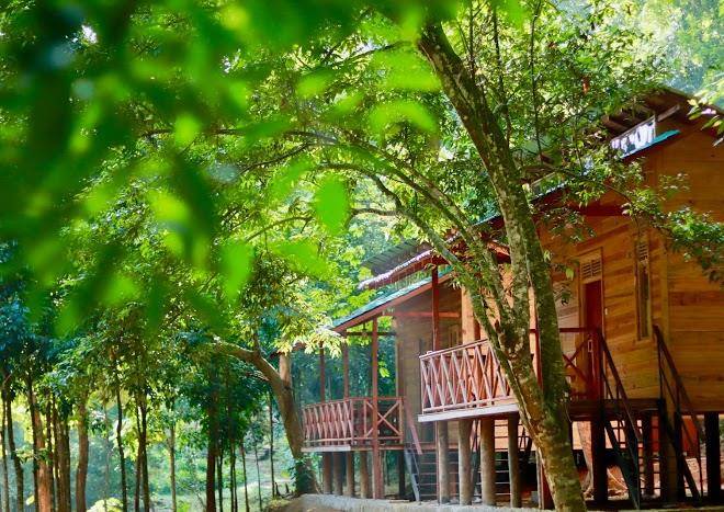 Paradise eco garden
